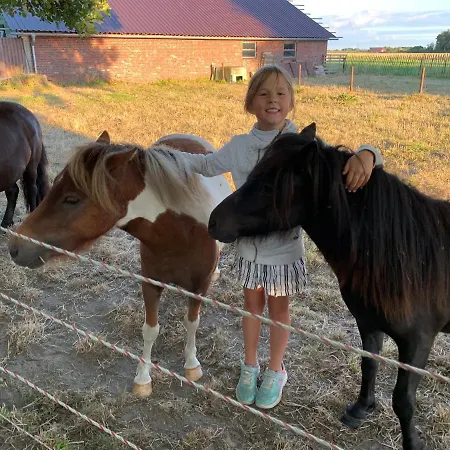 Apartment Achtern Diek Thalingburen