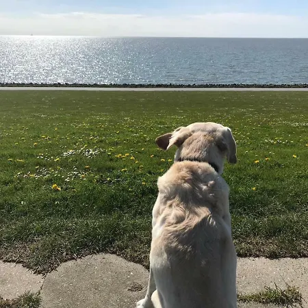 Achtern Diek * Thalingburen